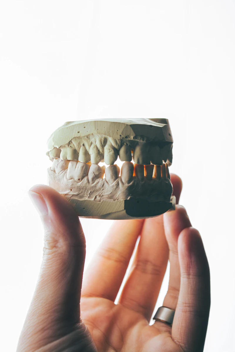 A hand holding a plaster cast of a set of teeth
